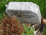 image of grave number 672781